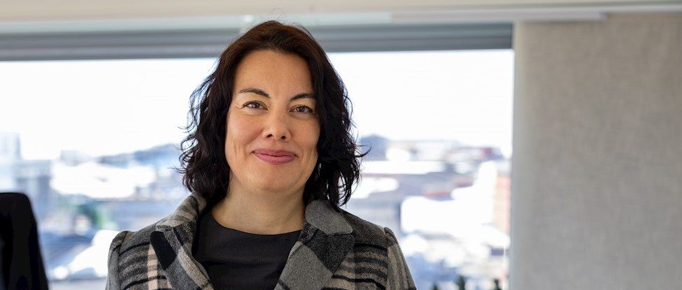Political Reforms Aim to Increase Workforce and Ensure Economic Stability in Greenland
