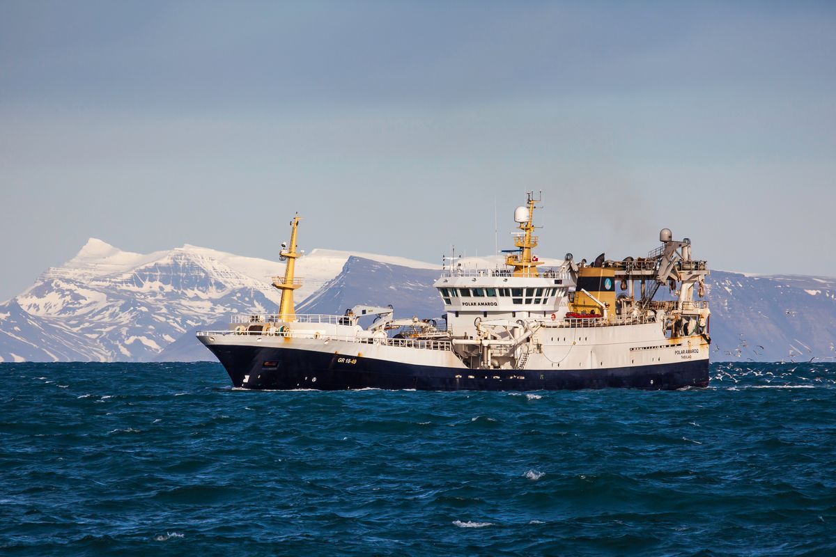 Criteria for Allocation of Mackerel and Herring 2023
