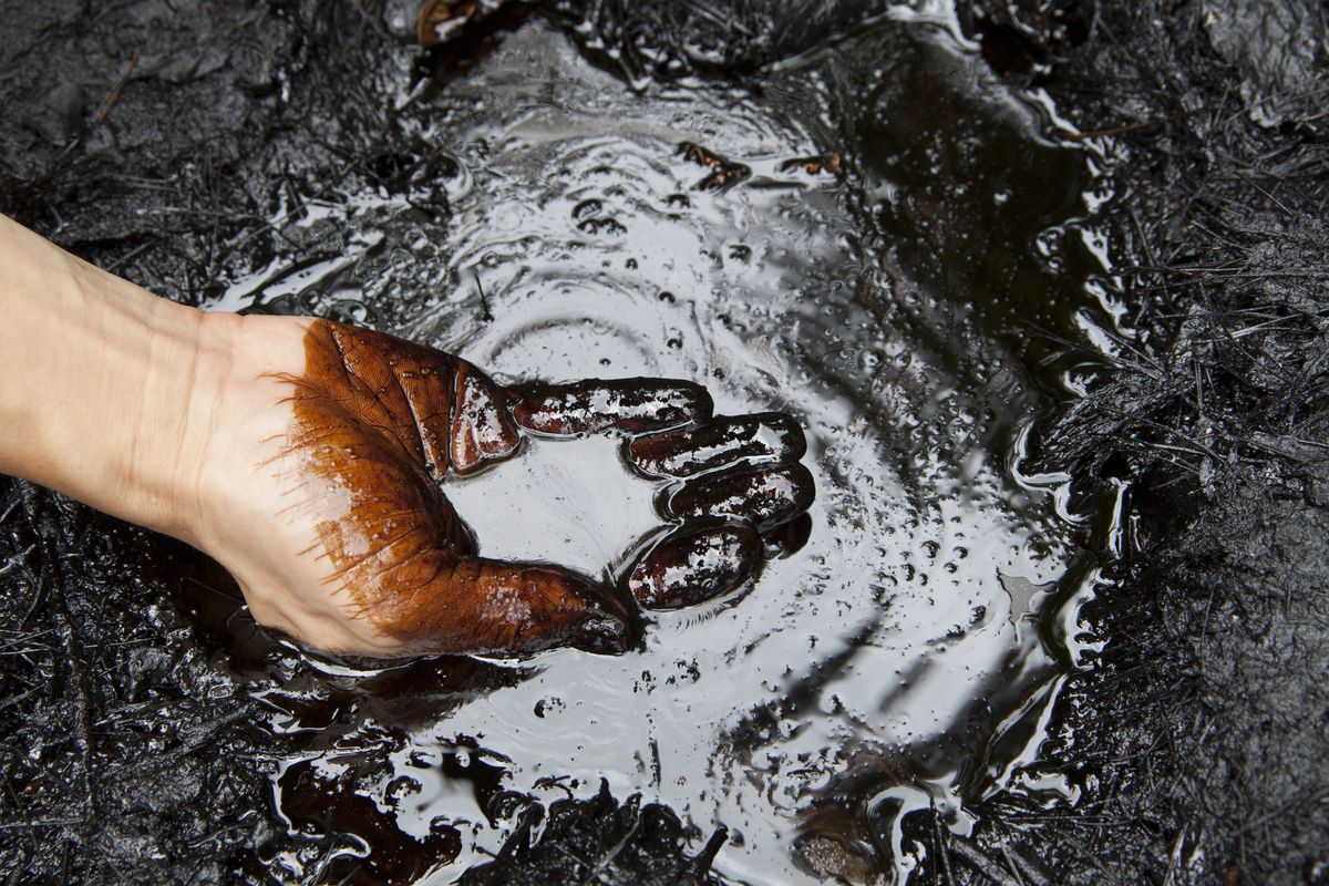 Greenland Plans to Prohibit Usage of Heavy Fuel Oil
