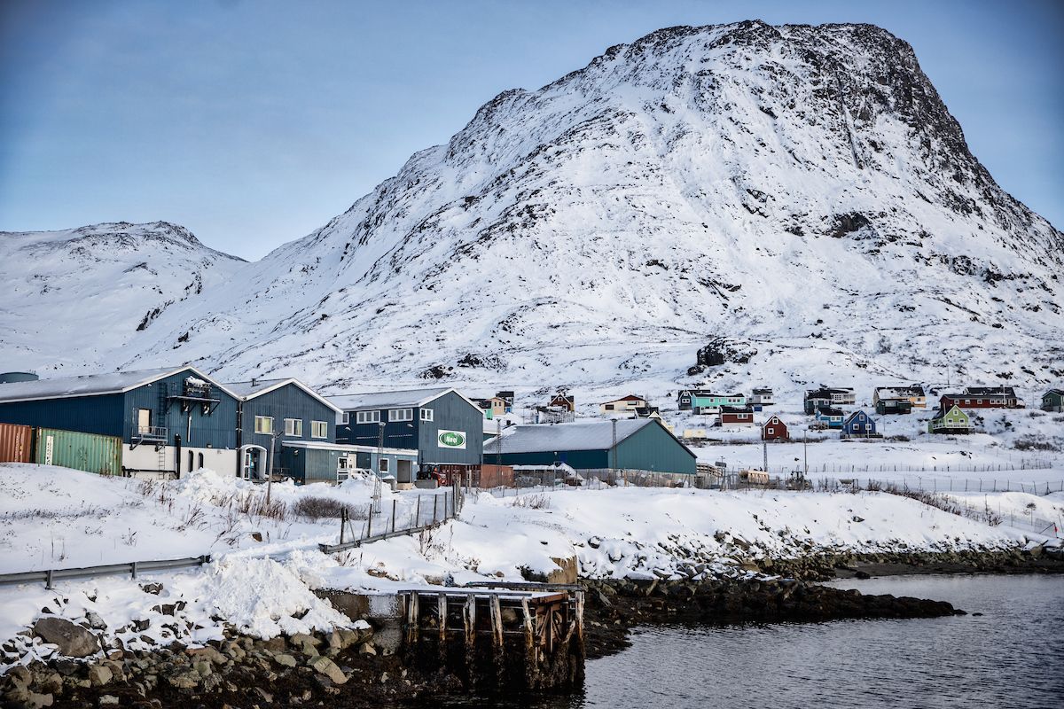 Neqi A/S: Greenland's Sole Slaughterhouse Struggles Despite Debt Relief