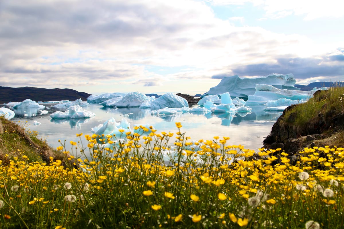 Pack Ice Disrupts Business and Tourism in South Greenland