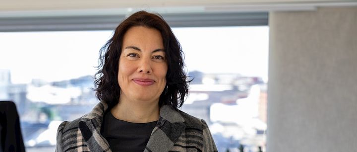 Political Reforms Aim to Increase Workforce and Ensure Economic Stability in Greenland