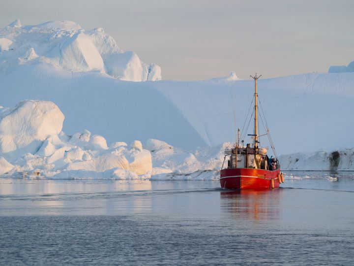 Greenland Continues to Reap Financial Benefits from Fish Exports