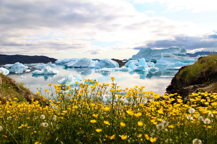 Pack Ice Disrupts Business and Tourism in South Greenland